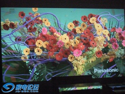 DSCF6030.JPG