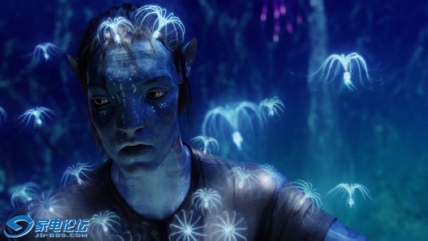 avatar_1.jpg