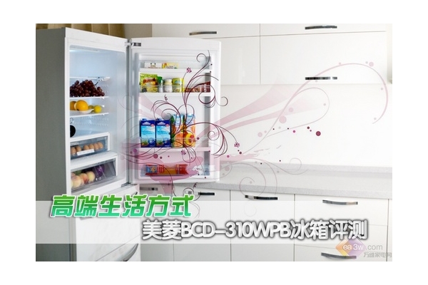 ߶ɫ BCD-310WPB