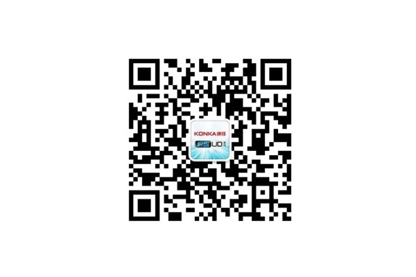 394KUD3999Ԫ ע΢żȨ
