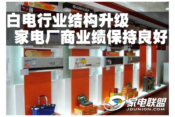 �׵���ҵ�ṹ���� �ҵ糧��ҵ����������