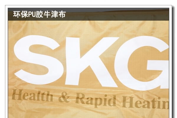 SKG4307ȫ»⣺ڻԭչԡ