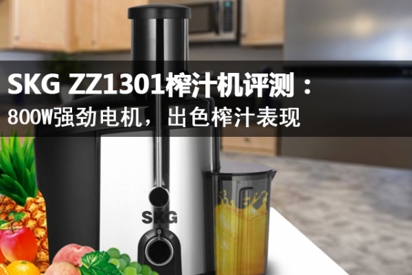 SKG ZZ1301ե֭⣺800Wǿɫե֭