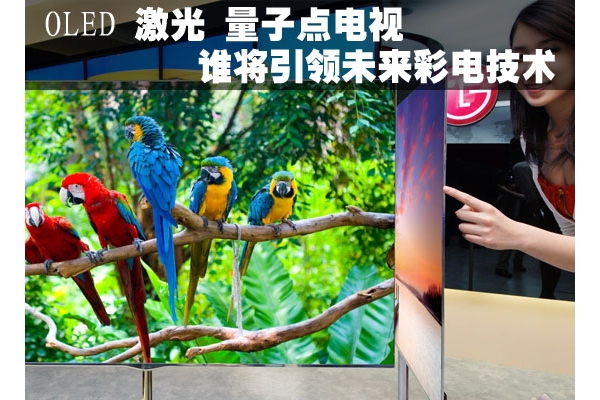 OLED  ӵ ˭δʵ缼