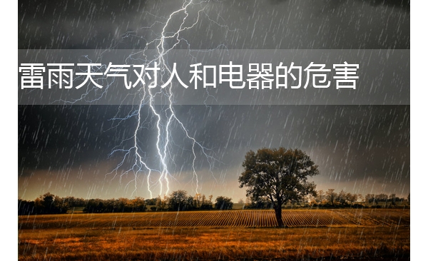 ҵã˺͵Σ