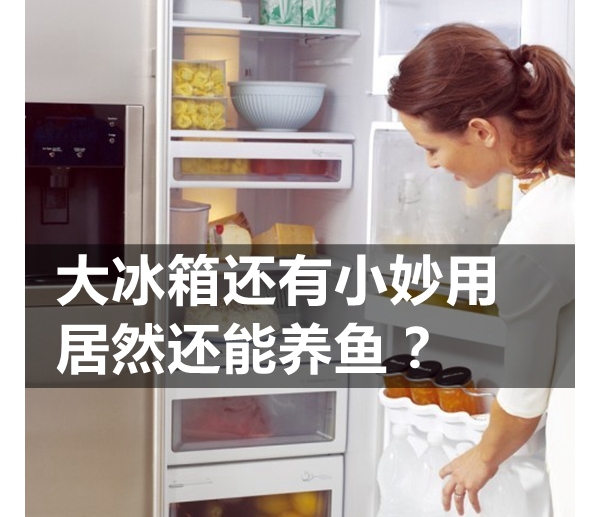仹С Ȼ?