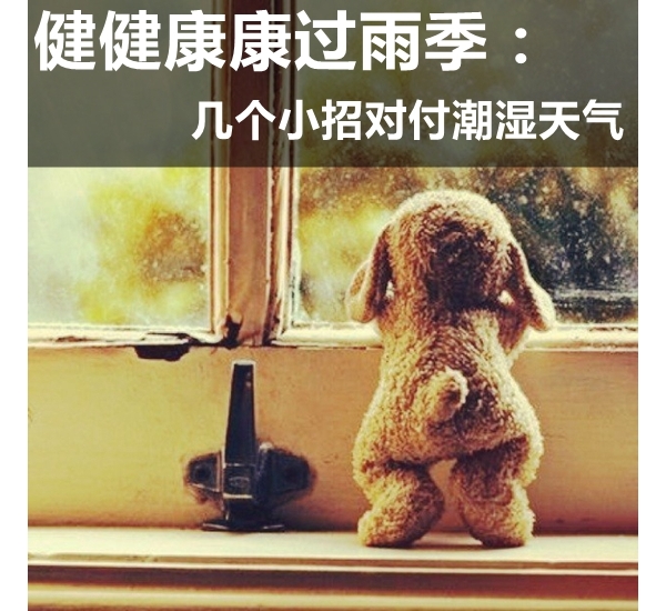 꼾СжԸʪ