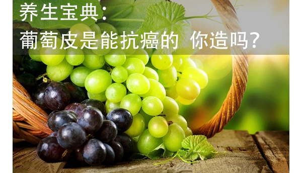 䣺Ƥܿ  