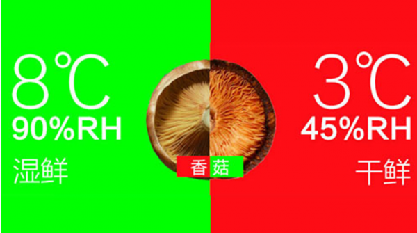 ʪʳҪִ㻹װӣ