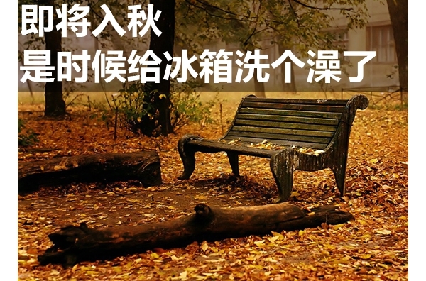  ʱϴ