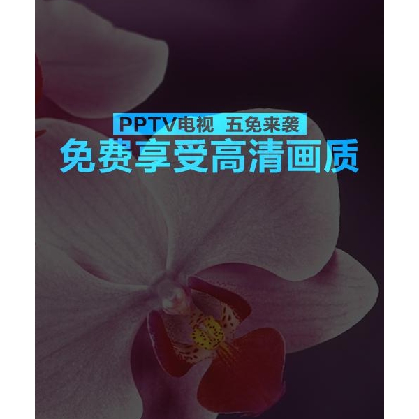PPTVտ廭 ҵǱ