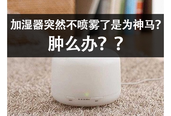 ʪͻȻΪô죿