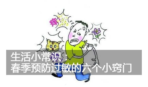 СʶԤС