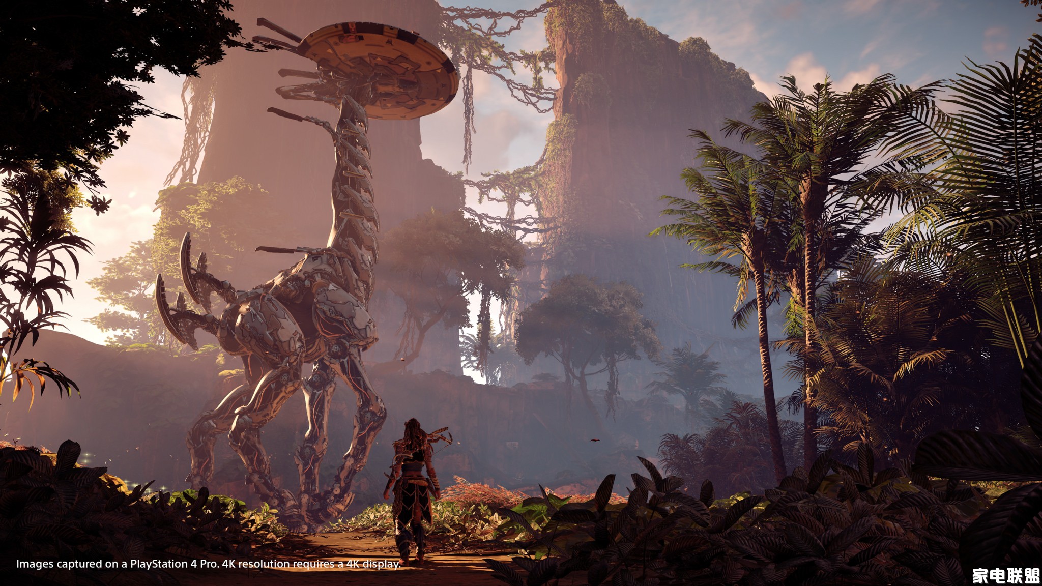 《地平线:黎明时分》ps4 pro游戏截图 4k画质果然很赞