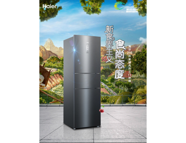ʳ BCD-216WDPXۼ2699Ԫ
