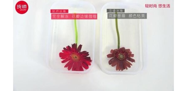 Ѿ׼ ͳ˧侫׼ÿ1桰ܡ