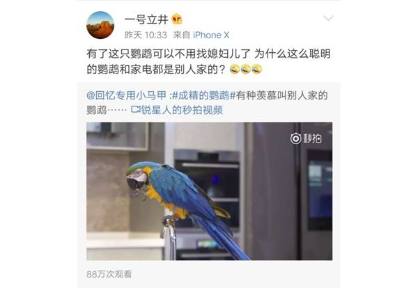 ���������޳ɾ����ĺ���Ա�ǵ���ơ��������õ���������